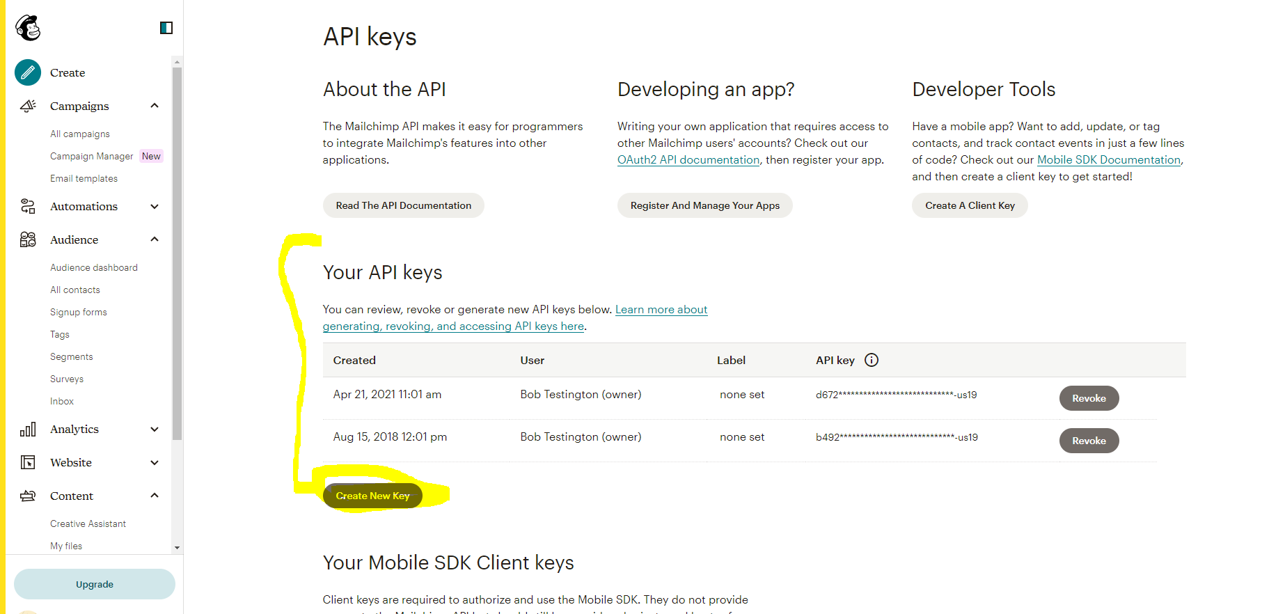 API Key